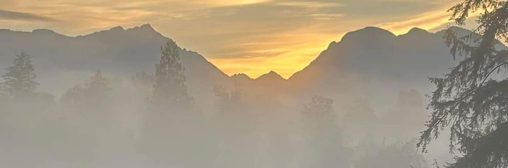 heyiamnew's profile banner image