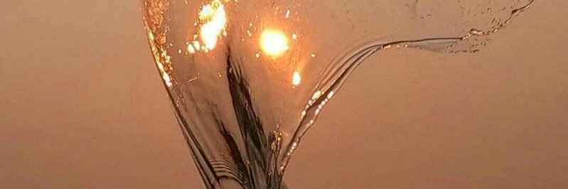 Liora ™️ banner