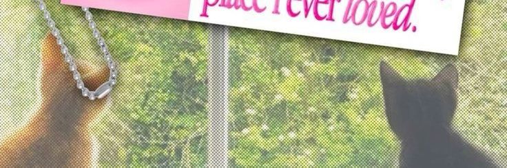 𐔌՞. .՞𐦯 banner