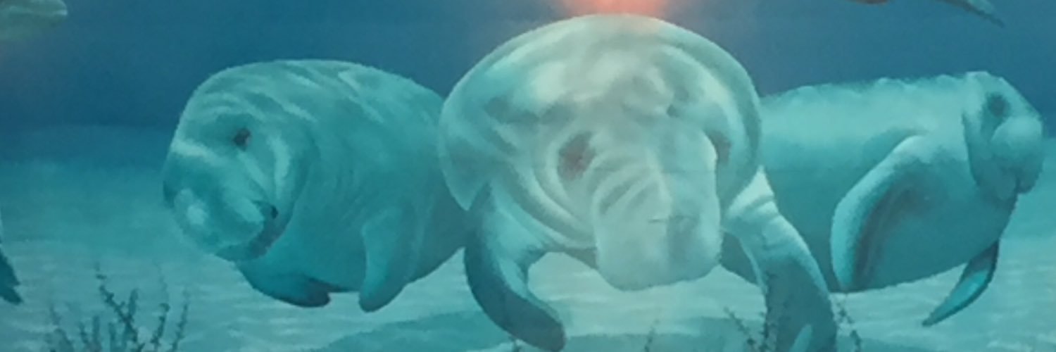md_lyons's profile banner image