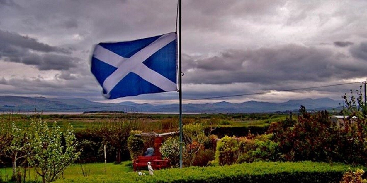 Emma Wyllie banner