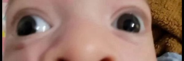 NotusS0L Profile Banner