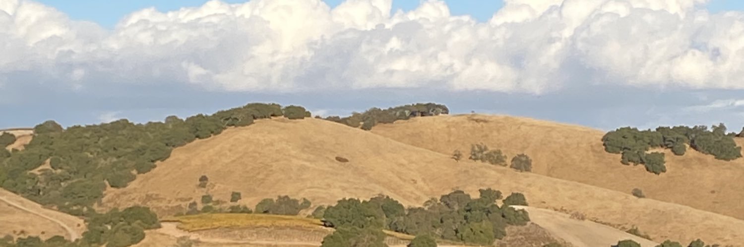 weimdog's profile banner image