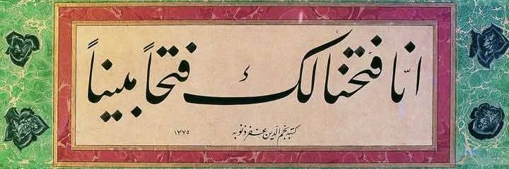 hadyl banner