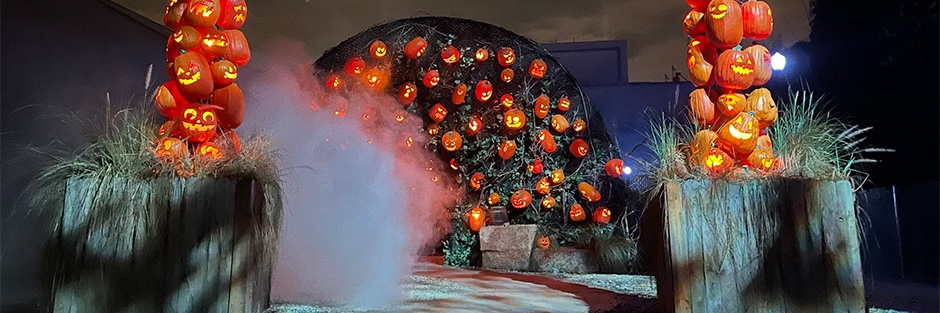 ooql!l 🎃 banner