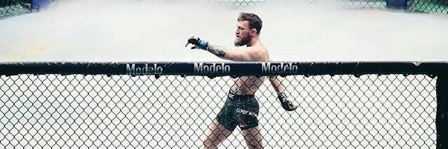 UFC Enthusiast banner
