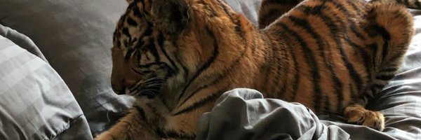 issay_freak Profile Banner