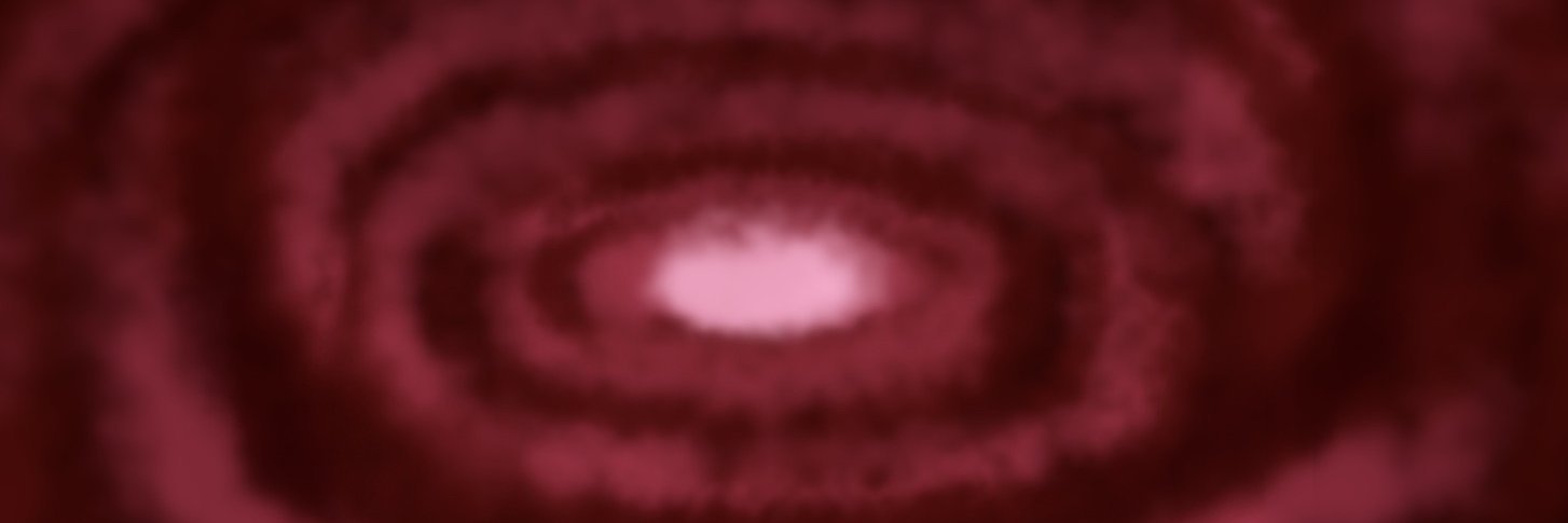 Definitive Experience banner