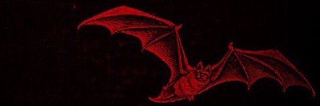 giyyhet's profile banner image