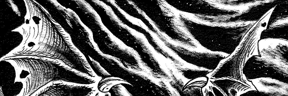 antiaxeus's profile banner image
