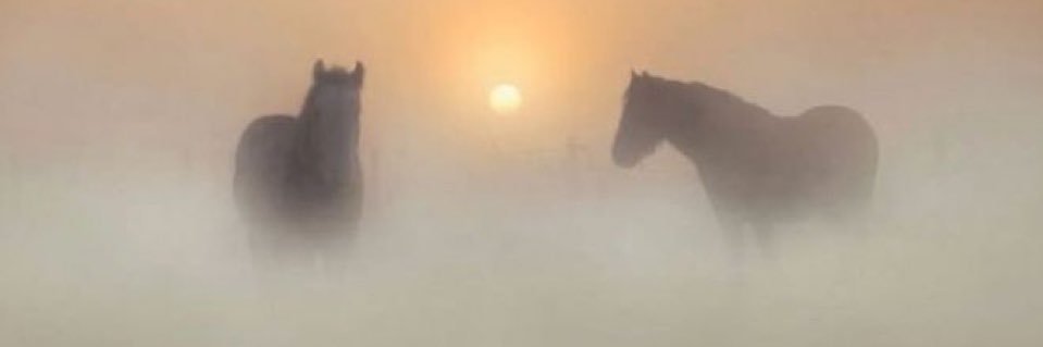 CJ2097485's profile banner image