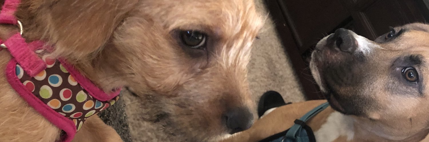 I’m the new Chris Paul banner