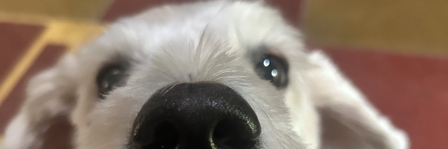 lampejuive_'s profile banner image