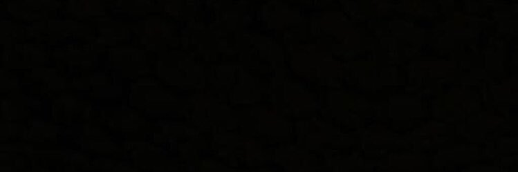 Maria Alejandra banner