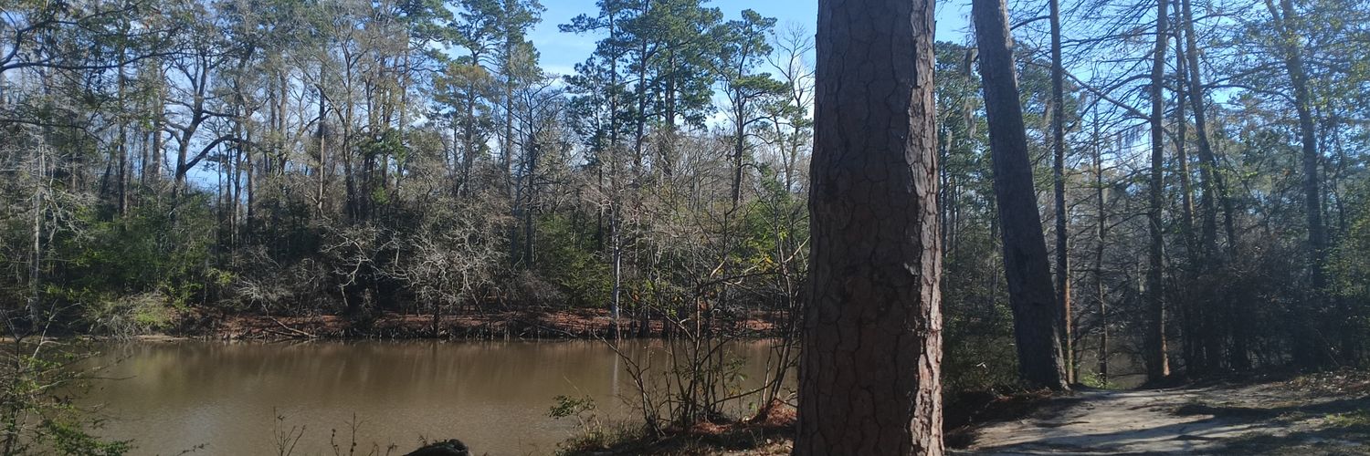 TempFreeman92's profile banner image