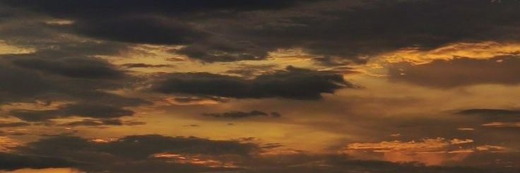 Fernanda Rmz banner