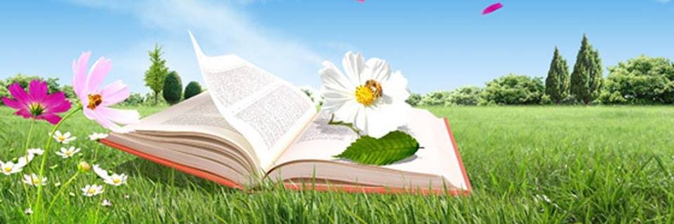 violaine281's profile banner image