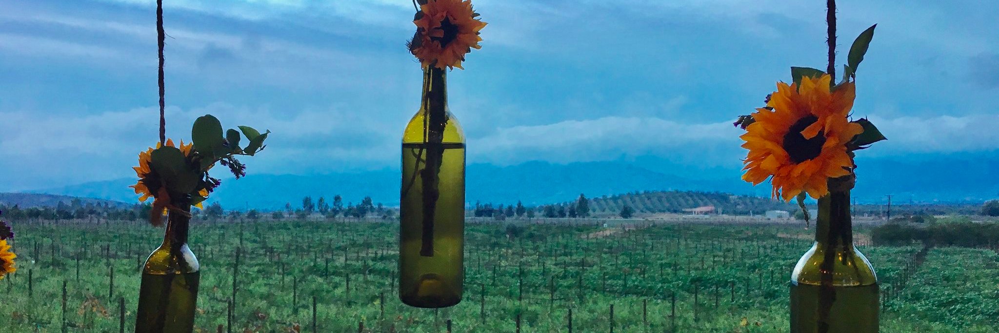JulieDevito's profile banner image