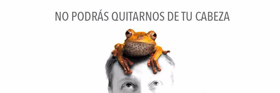 arojocanedo's profile banner image