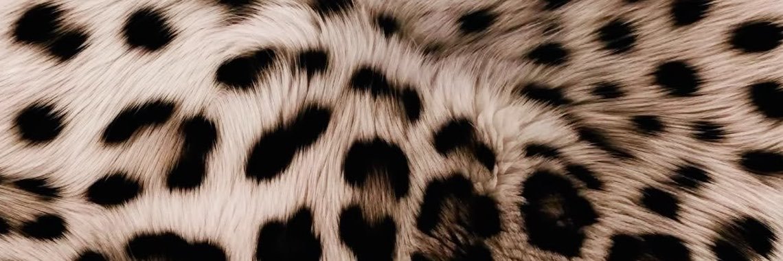 LexxyMonique's profile banner image