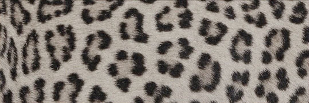 cely 💌's banner