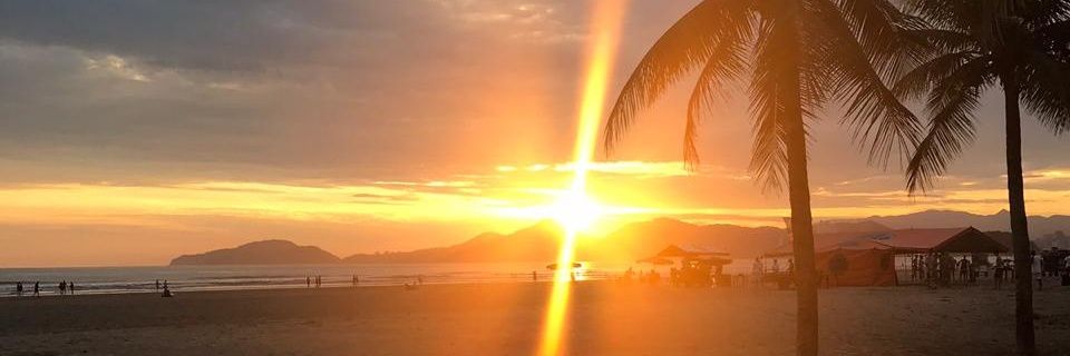 elviacuna's profile banner image