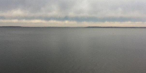 michelle miller banner