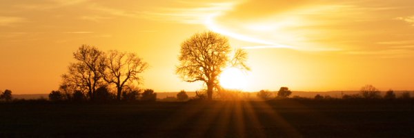 chrisdobbinart Profile Banner