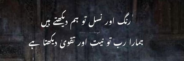 Zal_Zala_24 Profile Banner