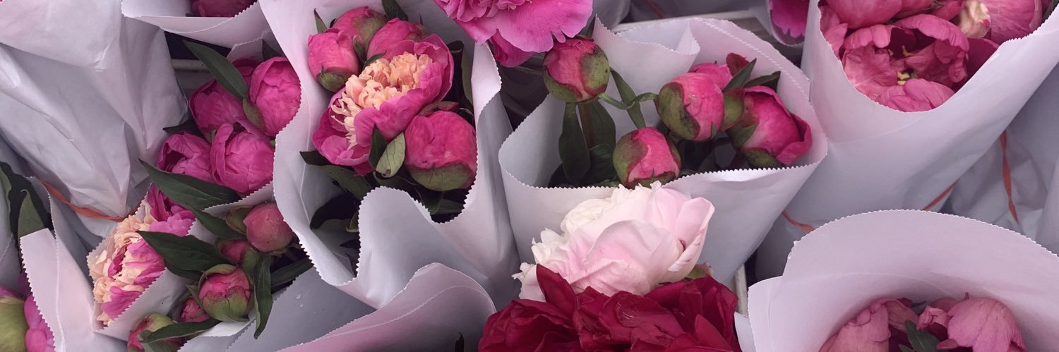 Danielle Valente banner