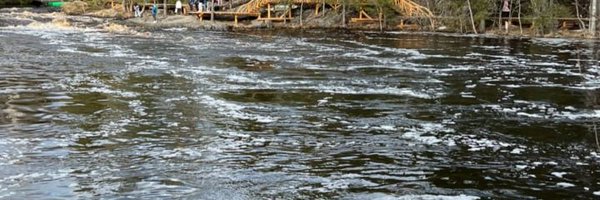 AngeeB Profile Banner