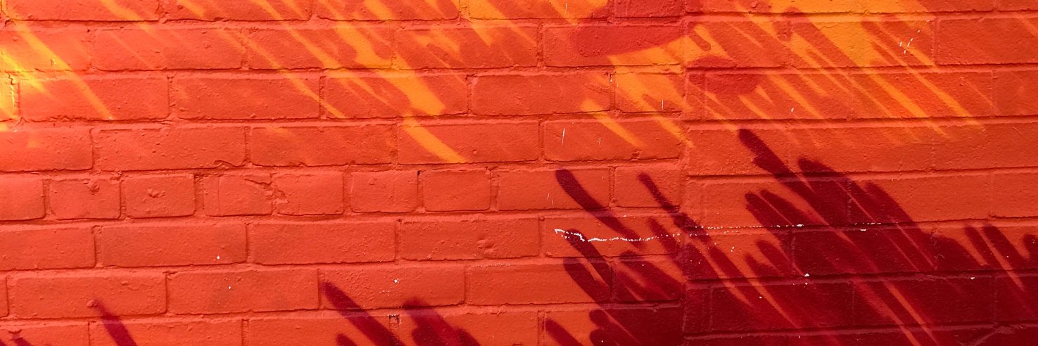 Reunion | The Dallas Review banner