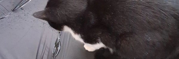 binn_work Profile Banner