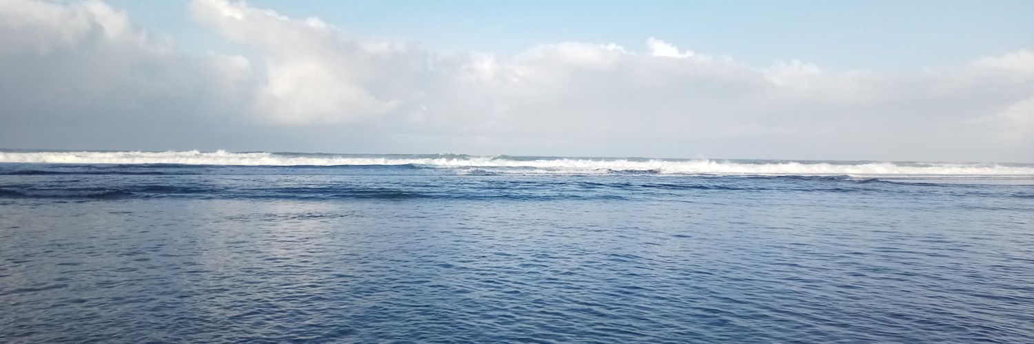 nvimlyndni's profile banner image