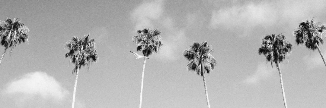 mynameisỌ́LÁ banner
