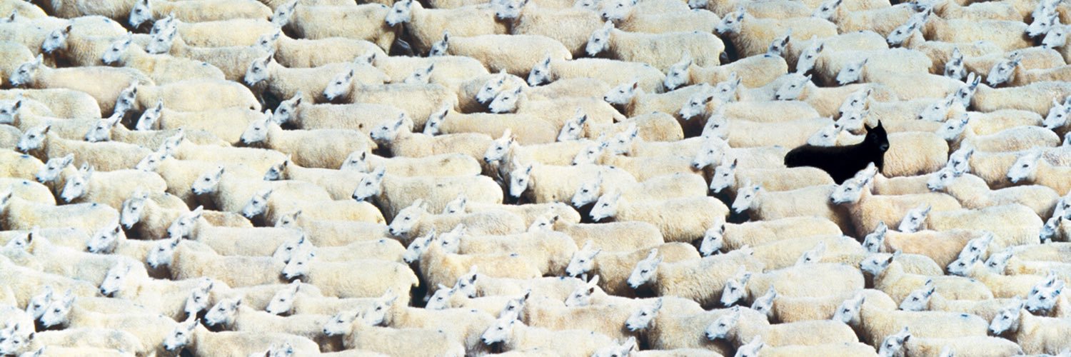 Maxwell Cooper banner