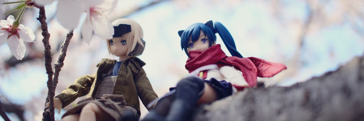 Geccou_Sakura's profile banner image