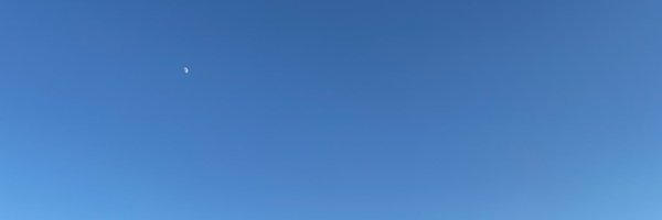 _310_no Profile Banner