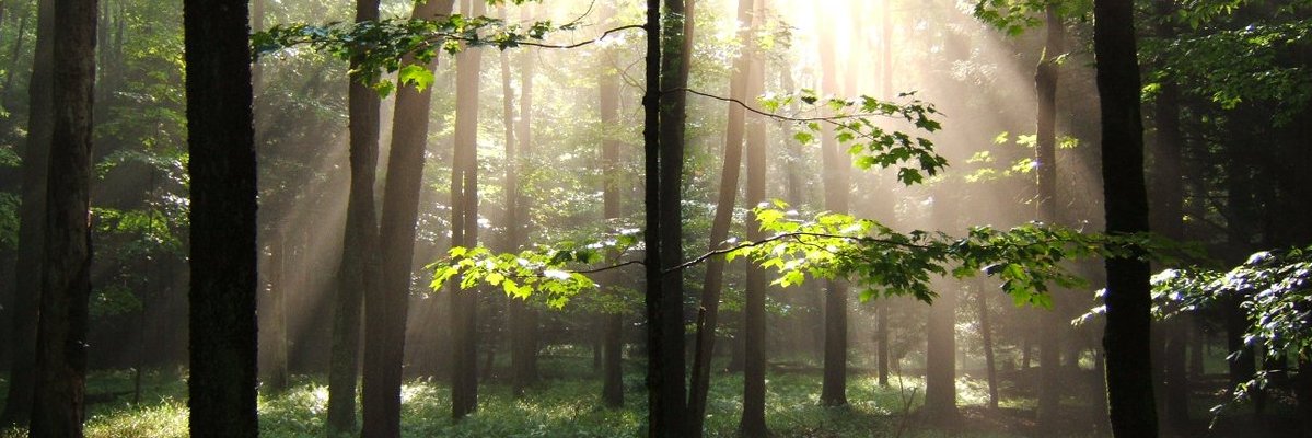 IN Woodland Owners banner