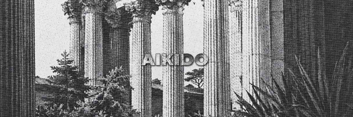 aikidoapp's profile banner image