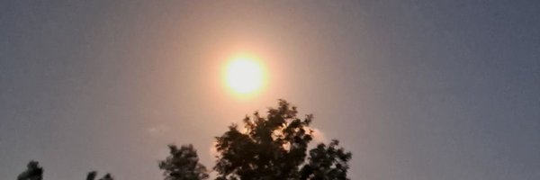 EghMbs Profile Banner