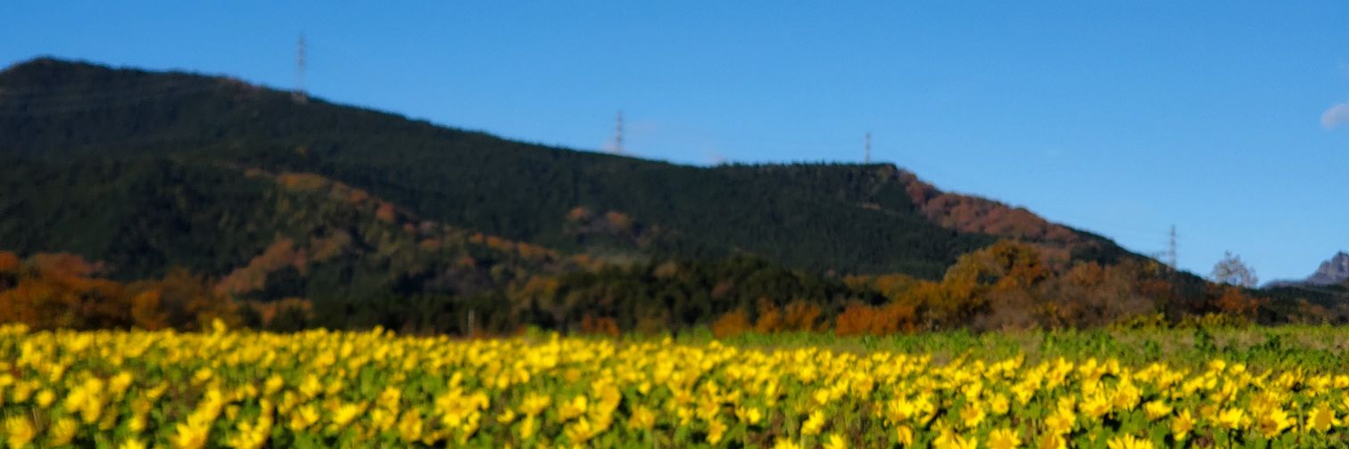 you1mtmt's profile banner image