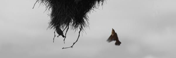 GMcLeanLeighton Profile Banner