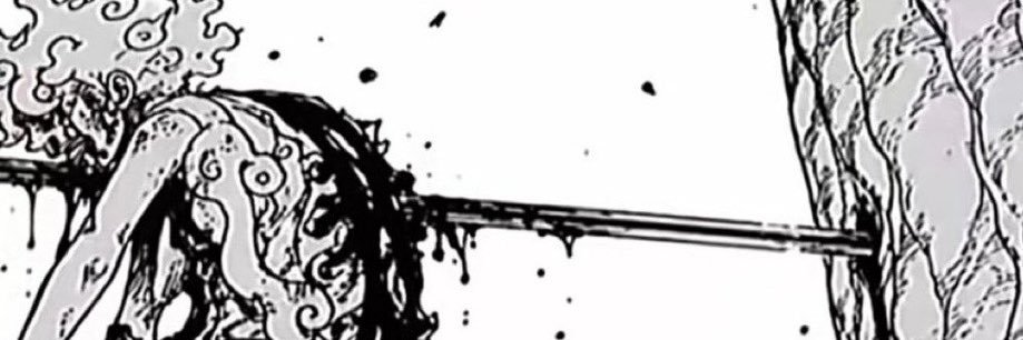 Delonix_Regi's profile banner image
