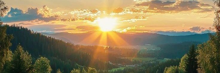 NatureMuse's banner