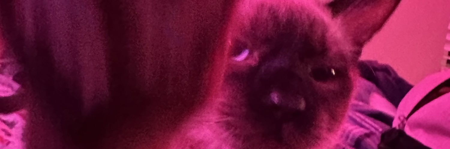 seraphmeows's profile banner image