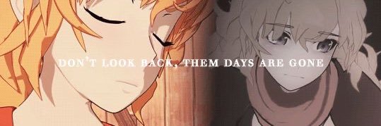 Yang Xiao Long banner