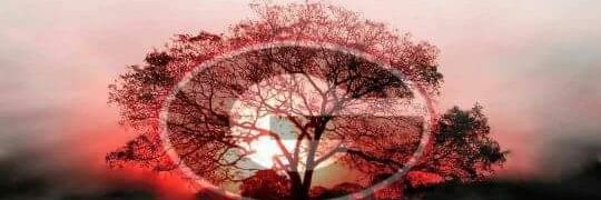 Shane_Thompson2's profile banner image