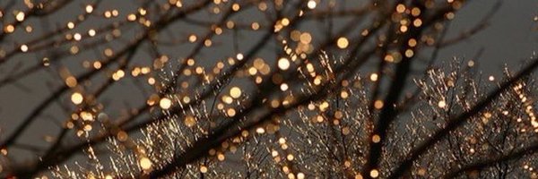 simpforyuyu Profile Banner