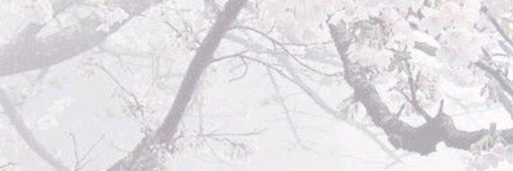 ana claritas | tarot e afins ✨ banner